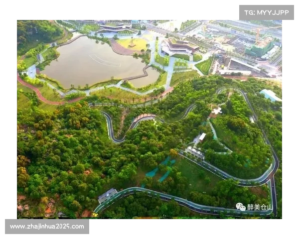 重点体育项目示范效应显现，带动整体水平提升